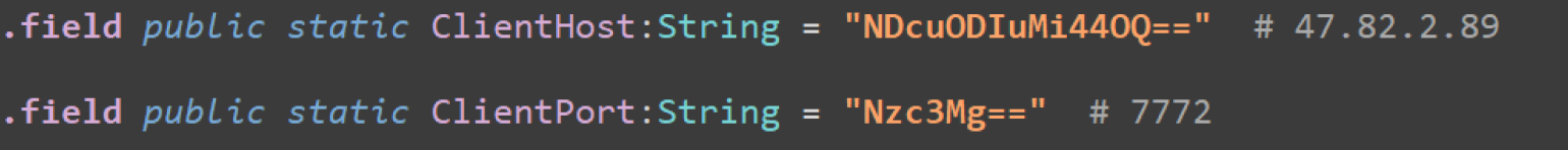 Base64 encoded C2 server address and port